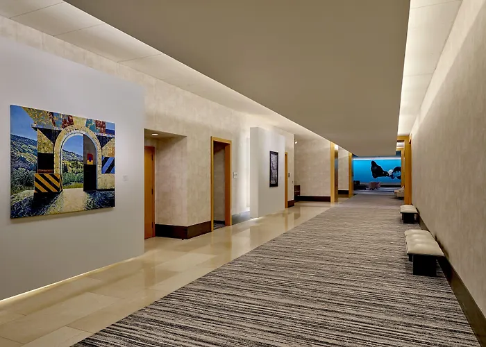 Loews Chicago O'hare Hotel 4*