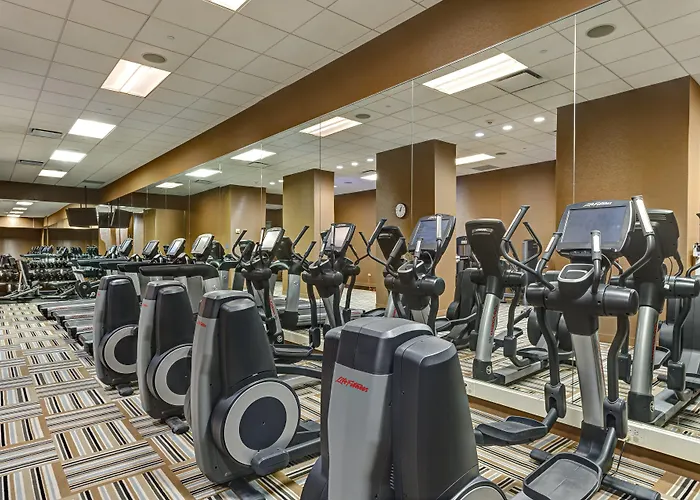 Loews Chicago O'hare 4*
